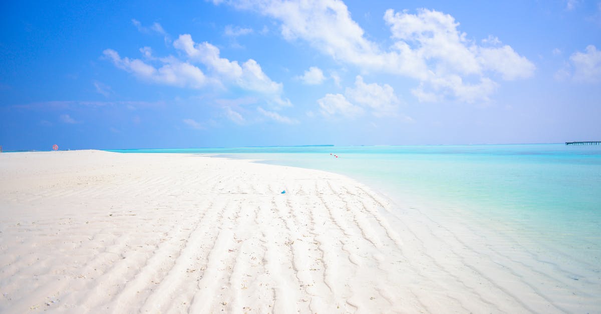 découvrez 'paradise', un monde d'évasion où la beauté naturelle rencontre la sérénité. plongez dans une expérience inoubliable, entre paysages luxuriants et moments de détente. explorez votre havre de paix et laissez-vous envoûter par la magie d'un endroit où le temps s'arrête.