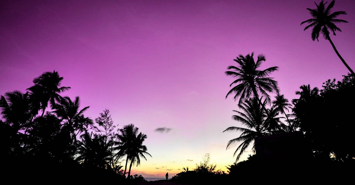 découvrez un monde de sérénité et de beauté dans notre oasis de paix, où chaque moment est une invitation à la détente et à l'évasion. plongez dans le paradis de vos rêves.