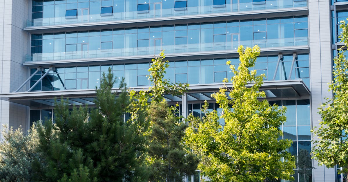découvrez des stratégies efficaces pour accélérer la croissance de votre entreprise, améliorer votre chiffre d'affaires et atteindre vos objectifs professionnels grâce à des conseils pratiques et des exemples concrets.
