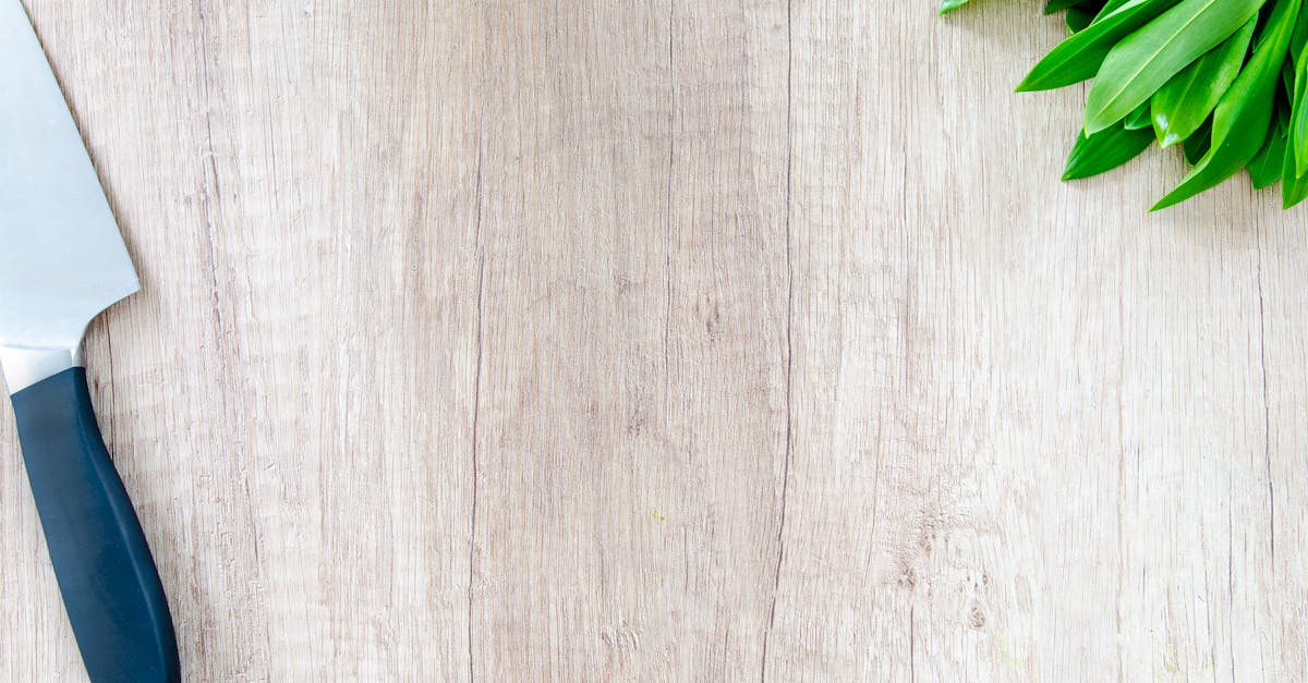 découvrez des recettes savoureuses, des astuces de cuisine faciles et des conseils pour réussir tous vos plats. devenez un chef à la maison grâce à nos inspirations culinaires pour tous les goûts et tous les niveaux.