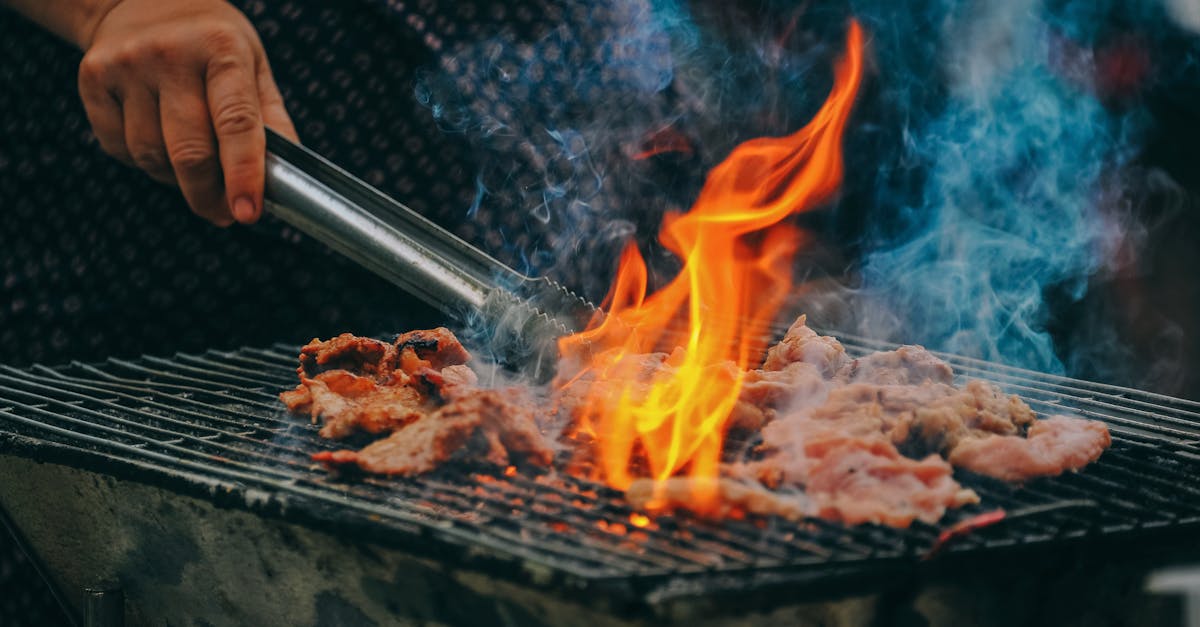 découvrez nos conseils, recettes et astuces pour réussir votre cuisine au quotidien. apprenez à cuisiner facilement et savourez des plats faits maison pour tous les goûts.