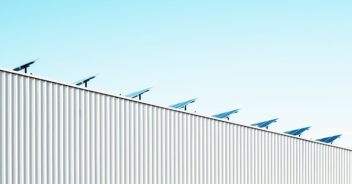 découvrez des conseils, des ressources et des actualités pour adopter un mode de vie durable. apprenez comment contribuer à la protection de l’environnement et à la préservation des ressources pour un avenir plus responsable.