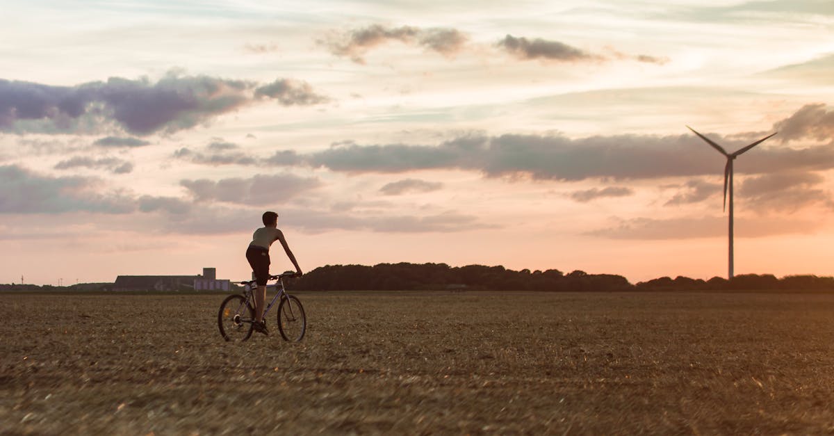 découvrez l'importance de la sustainability : principes, enjeux et solutions pour adopter un mode de vie respectueux de l’environnement et garantir un avenir durable à notre planète.