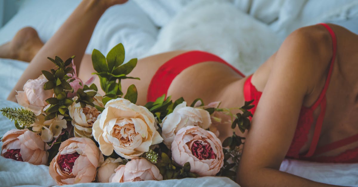découvrez notre sélection de lingerie élégante et confortable pour toutes les silhouettes. trouvez des soutiens-gorge, culottes et ensembles adaptés à votre style, pour sublimer votre féminité chaque jour.